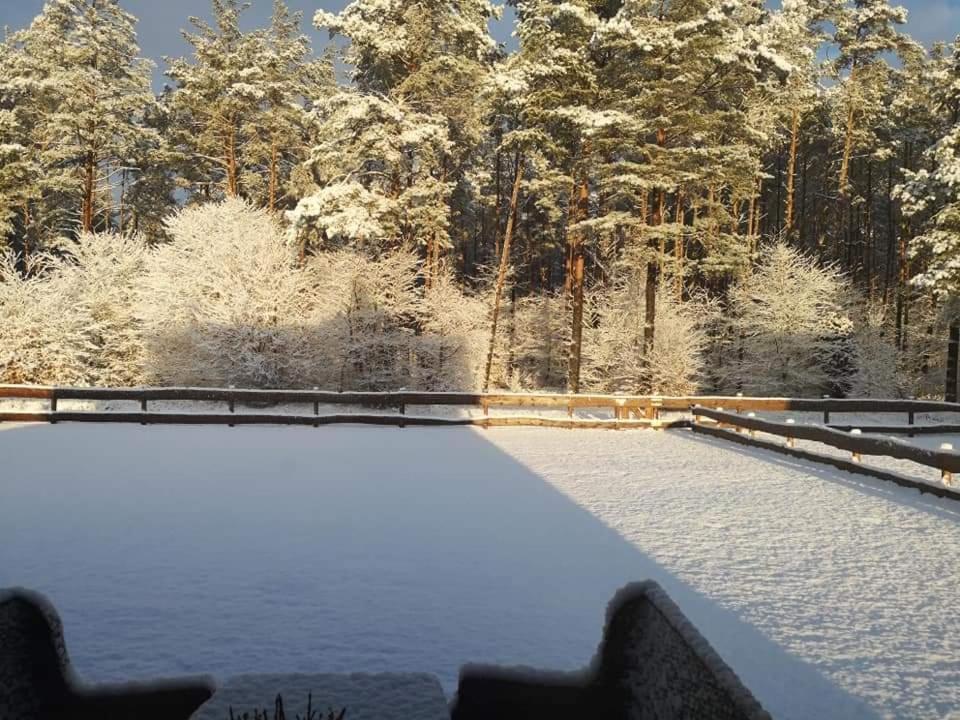 Villa Kaszuby W Ostoja Bukowo - U Malgoski Domek 6 Z Widokiem Na Las I Internetem Borowy Mlyn Exterior foto