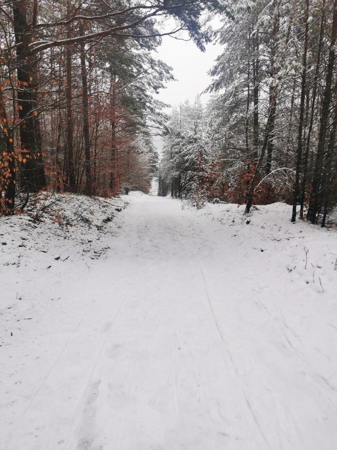 Villa Kaszuby W Ostoja Bukowo - U Malgoski Domek 6 Z Widokiem Na Las I Internetem Borowy Mlyn Exterior foto