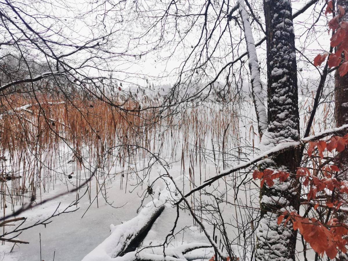 Villa Kaszuby W Ostoja Bukowo - U Malgoski Domek 6 Z Widokiem Na Las I Internetem Borowy Mlyn Exterior foto